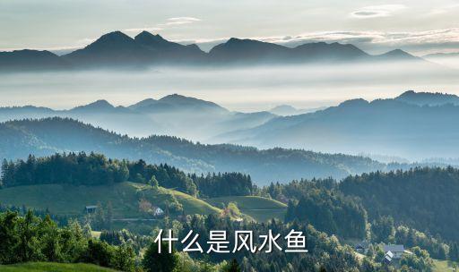 什么是风水鱼