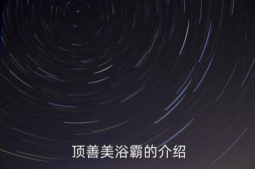 顶善美浴霸的介绍