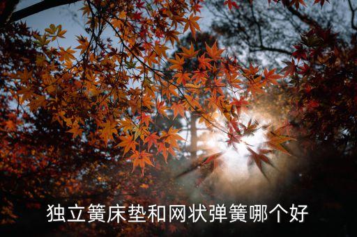 独立簧床垫和网状弹簧哪个好