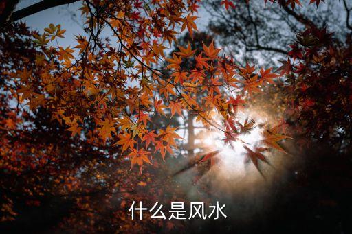 什么是风水