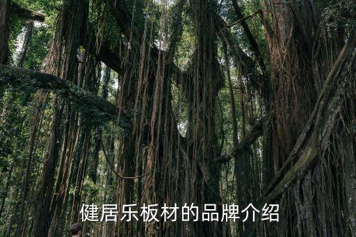 健居乐板材的品牌介绍