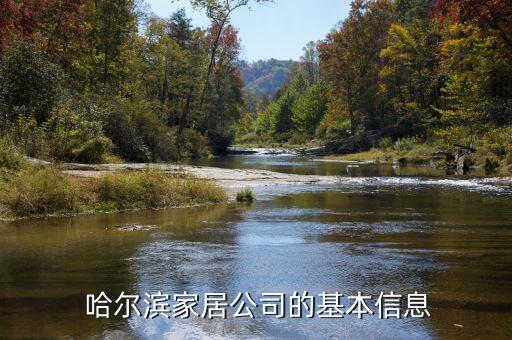 哈尔滨家居公司的基本信息
