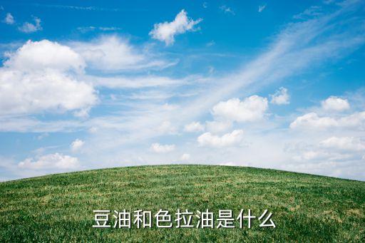 豆油和色拉油是什么