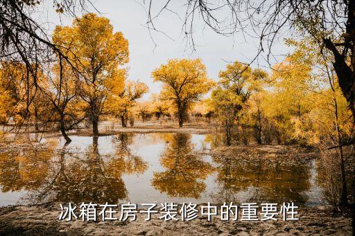冰箱在房子装修中的重要性