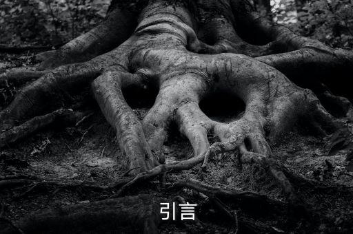 引言
