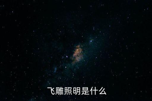 飞雕照明是什么