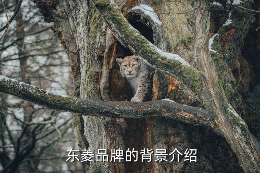 东菱品牌的背景介绍