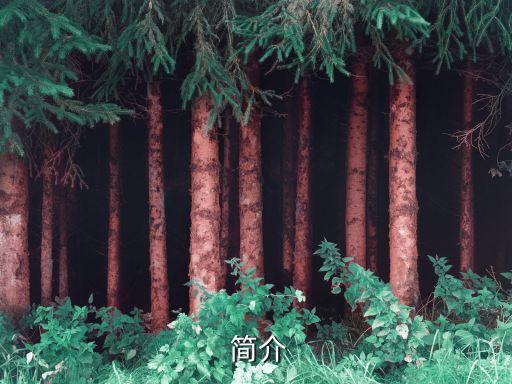 简介