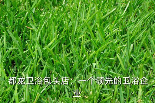 都龙卫浴包头店:一个领先的卫浴企业