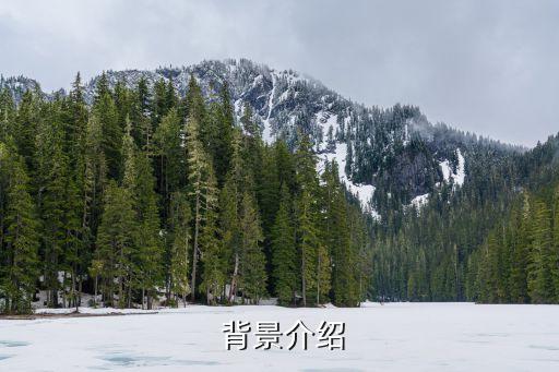 背景介绍
