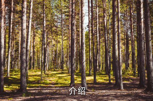 介绍