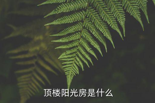 顶楼阳光房是什么