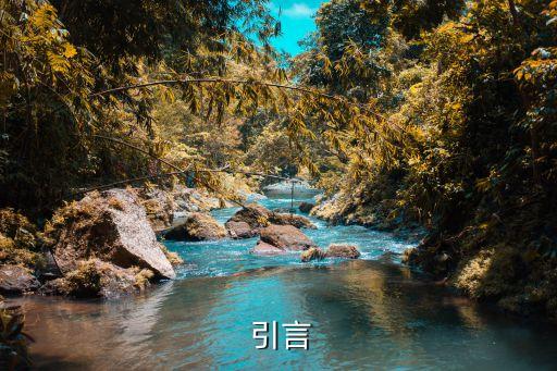 引言