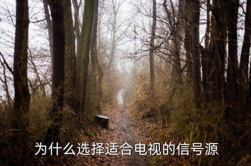 为什么选择适合电视的信号源