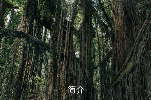 简介