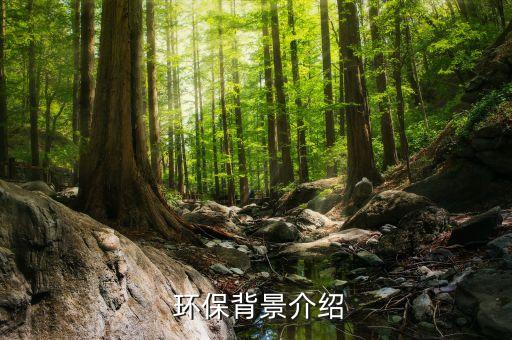 环保背景介绍