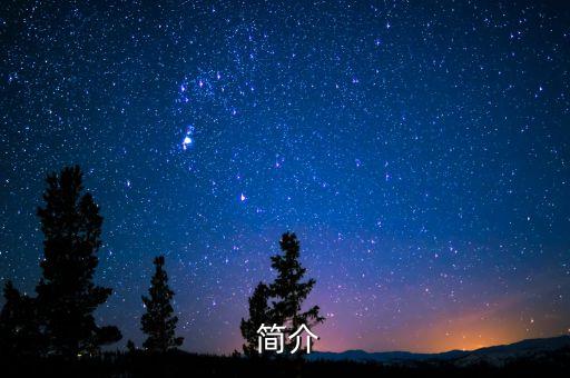 简介