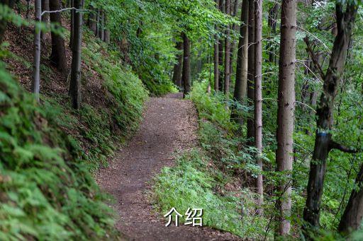 介绍