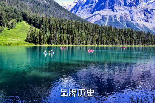 品牌历史