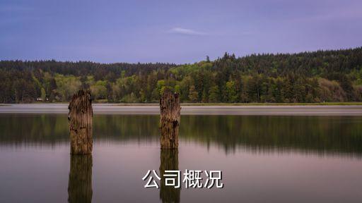 公司概况