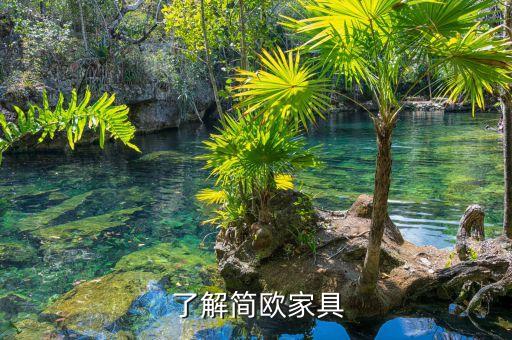 了解简欧家具