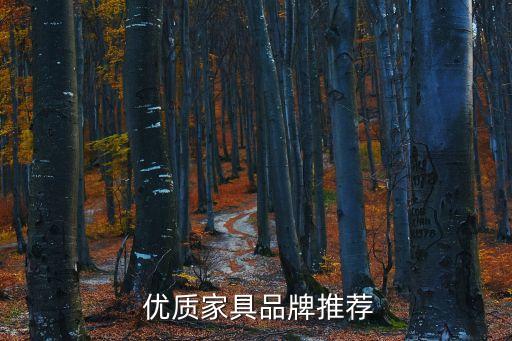 优质家具品牌推荐