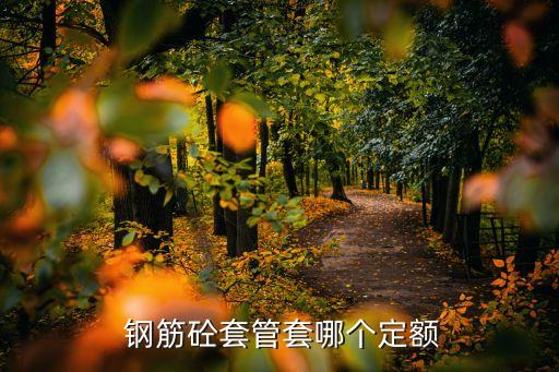 钢筋砼套管套哪个定额