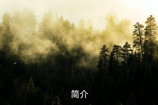 简介