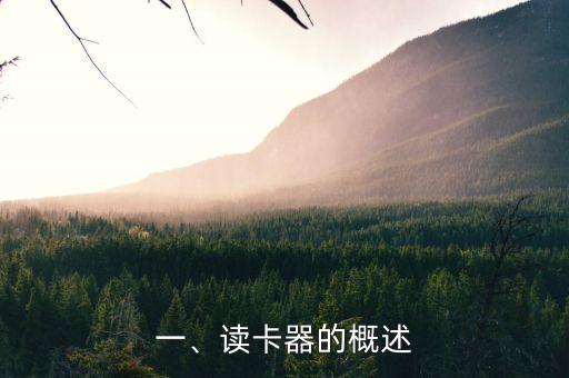 一、读卡器的概述