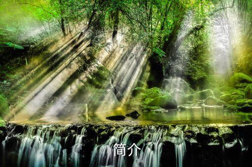 简介