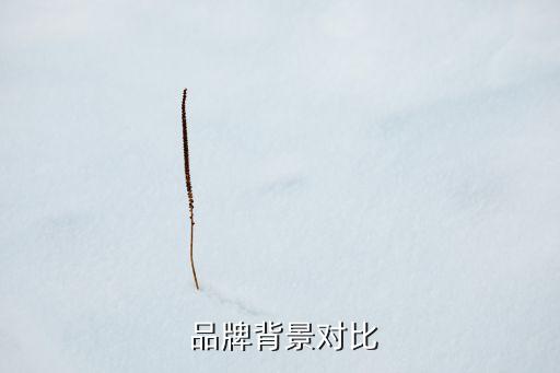 品牌背景对比