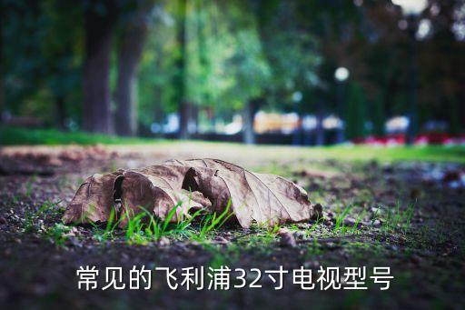 常见的飞利浦32寸电视型号