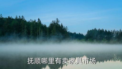抚顺哪里有卖家具市场