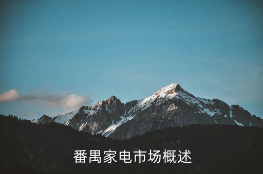 番禺家电市场概述
