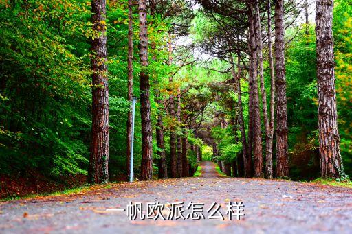 一帆欧派怎么样