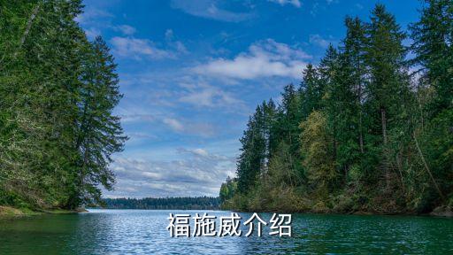 福施威介绍