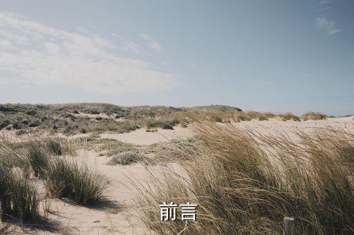 前言