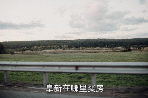 阜新在哪里买房