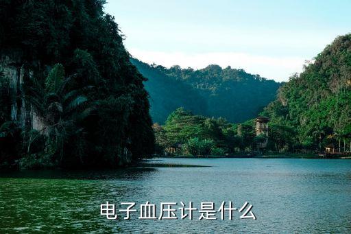 电子血压计是什么
