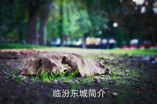 临汾东城简介