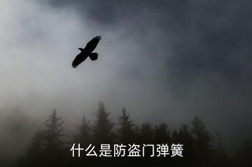 什么是防盗门弹簧