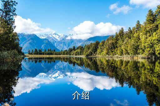 介绍