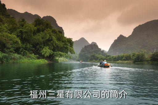 福州三星有限公司的简介