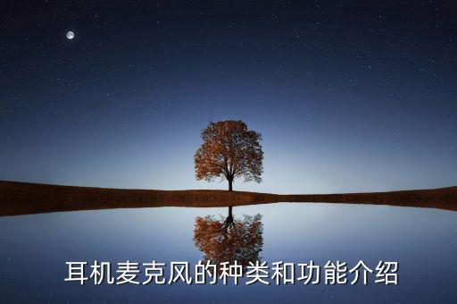 耳机麦克风的种类和功能介绍