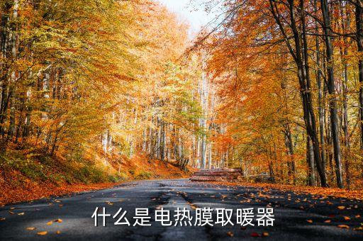 什么是电热膜取暖器
