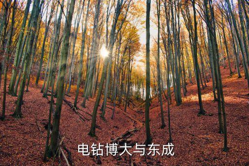 电钻博大与东成