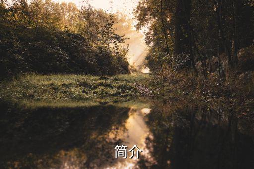 简介
