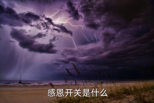 感恩开关是什么