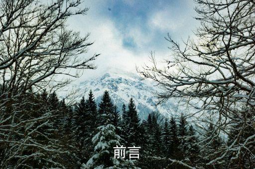 前言