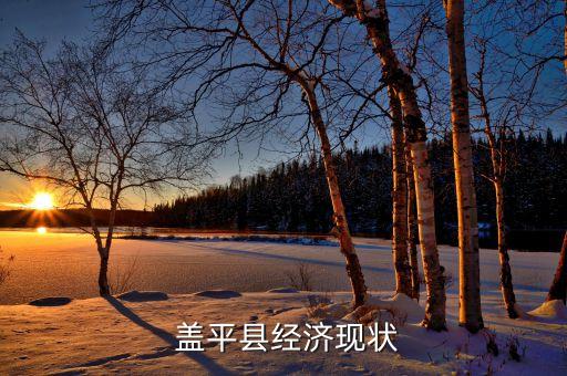 盖平县经济现状
